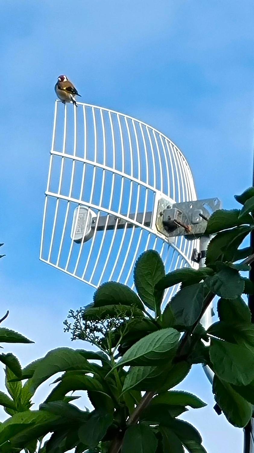 Waiting For The Patient's MRI